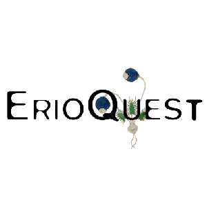 Erioquest (エリオクエスト)／南アフリカ珍奇植物専門店